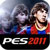 Pro Evolution Soccer 2011 1.0